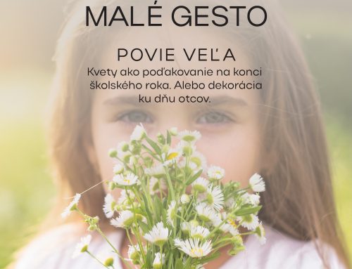 Malé gesto povie veľa